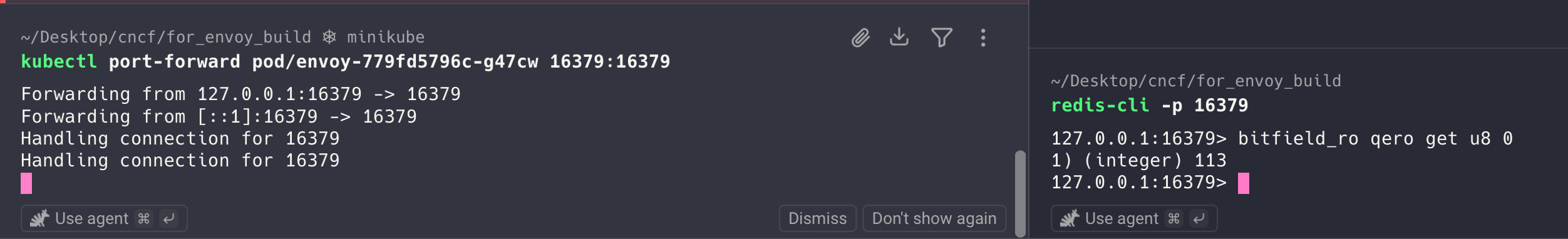 업데이트된 Envoy 바이너리 재배포 후